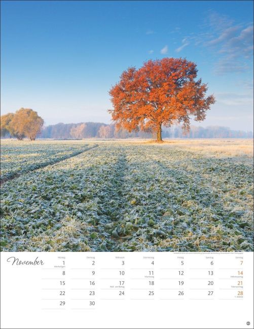 InsideView 11