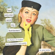 Cover-Bild zum Titel 'Has Anyone Seen My Hormones?' von 'Anne Taintor'