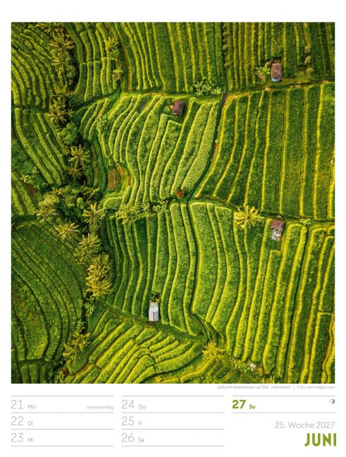 InsideView 29