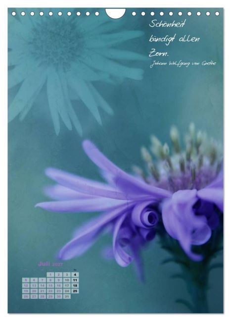 InsideView 12