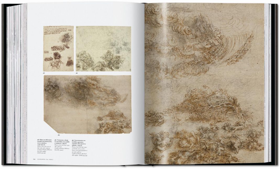 InsideView 19