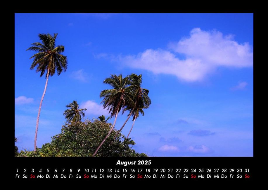 InsideView 12