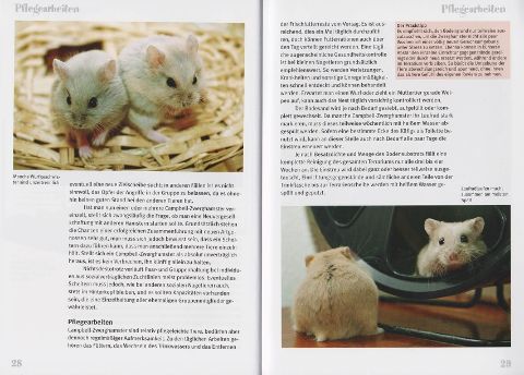 InsideView 2