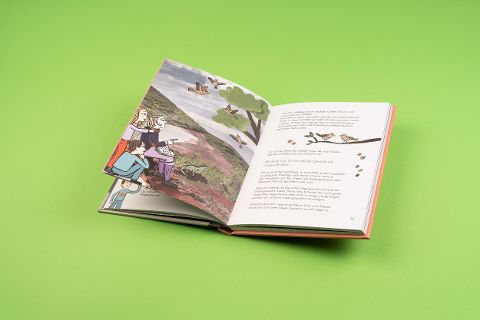 InsideView 6