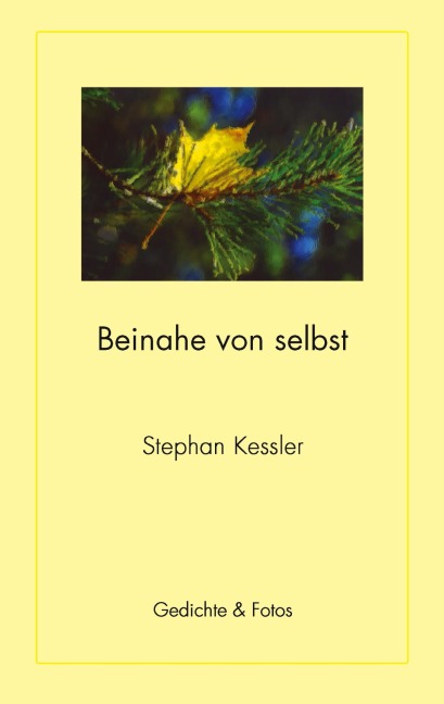 Beinahe von selbst - Stephan Kessler