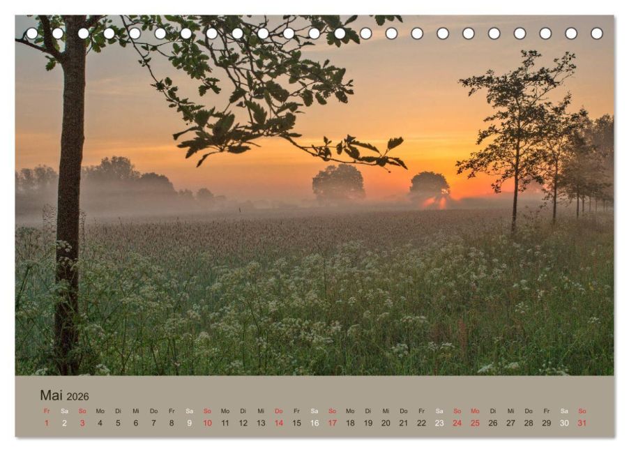 InsideView 10