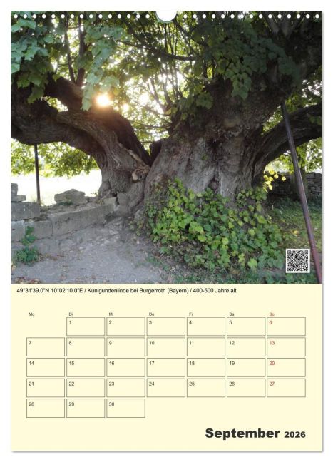 InsideView 14