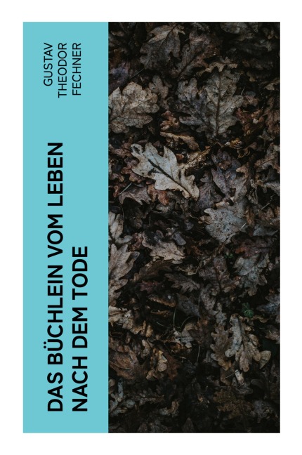 Das Büchlein vom Leben nach dem Tode - Gustav Theodor Fechner