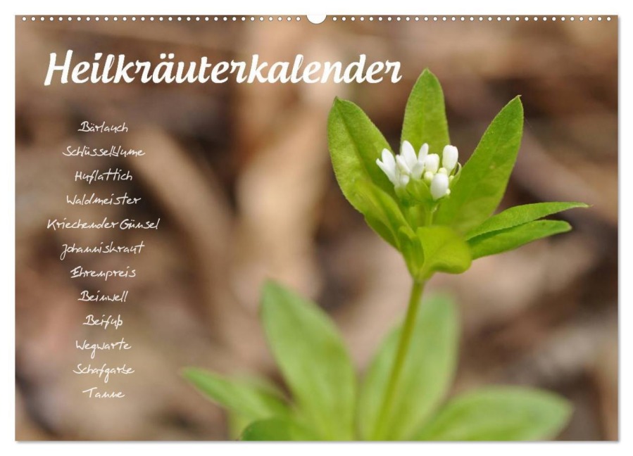 Heilkräuterkalender (Wandkalender 2026 DIN A2 quer), CALVENDO Monatskalender - Use Your Spirit
