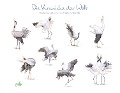 Cover-Bild zum Titel 'Die Kraniche der Welt' von 'Christopher Schmidt'