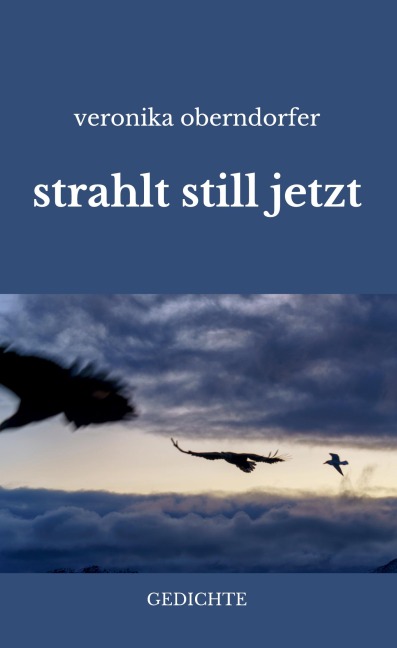 strahlt still jetzt - Veronika Oberndorfer