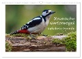 Heimische Gartenvögel - Gefiederte Freunde (Wandkalender 2024 DIN A3 quer), CALVENDO Monatskalender - Dieter Wilczek