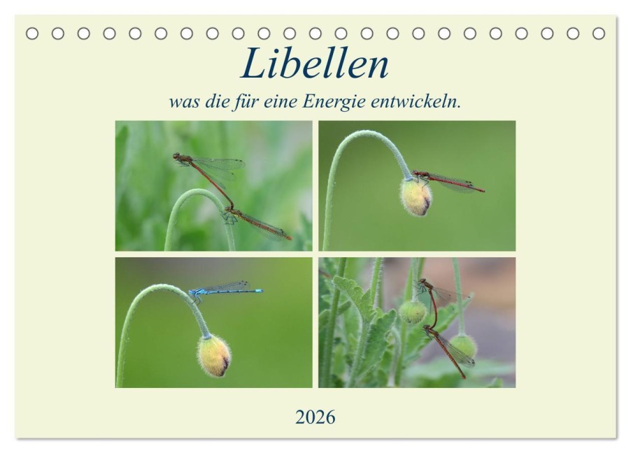 Libellen, was die für eine Energie entwickeln. (Tischkalender 2026 DIN A5 quer), CALVENDO Monatskalender - Rufotos Rufotos
