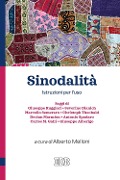 Sinodalità. Istruzioni per l'uso - 