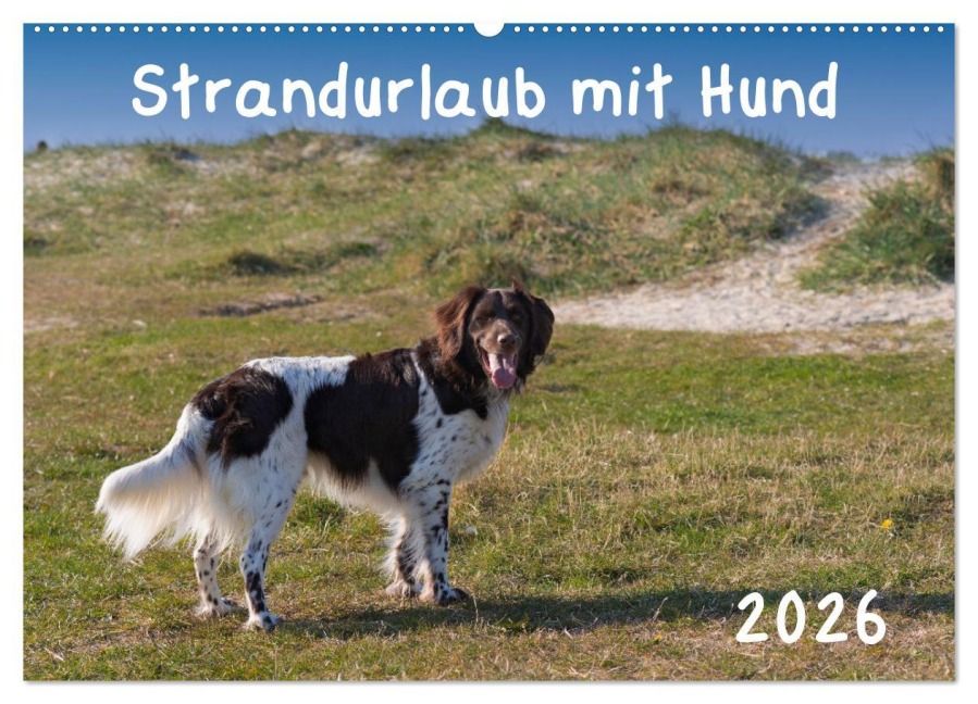 Strandurlaub mit Hund (Wandkalender 2026 DIN A2 quer), CALVENDO Monatskalender - Heidi Bollich