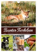 Cover-Bild zum Titel 'Buntes Tierleben (Wandkalender 2026 DIN A4 hoch), CALVENDO Monatskalender' von 'Sabine Löwer'