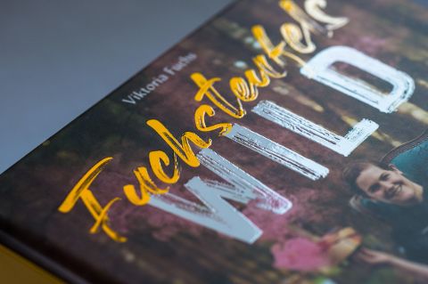 InsideView 13