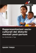 Cover-Bild zum Titel 'Rappresentazioni socio-culturali dei disturbi mentali post-partum' von 'Djagri Tindjo'