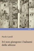 Cover-Bild zum Titel 'Ivi non giungono i balsami delle altezze' von 'Paolo Landi'