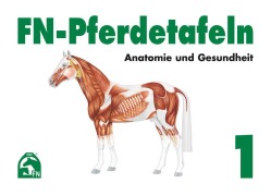 FN-Pferdetafeln. Mappe 1. Anatomie und Gesundheit - 