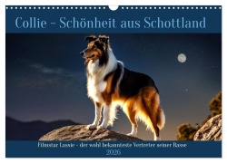 Cover-Bild zum Titel 'Traumhund Collie (Wandkalender 2026 DIN A3 quer), CALVENDO Monatskalender' von 'Claudia Kleemann'