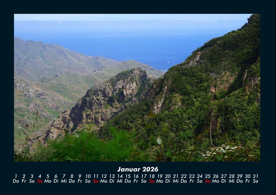 InsideView 5