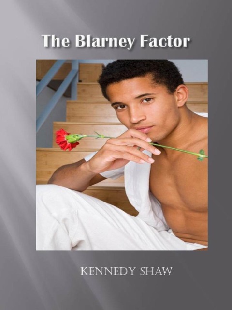 The Blarney Factor - Kennedy Shaw