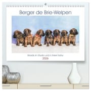 Cover-Bild zum Titel 'Berger de Brie - Welpen (hochwertiger Premium Wandkalender 2026 DIN A2 quer), Kunstdruck in Hochglanz' von 'Sonja Tessen'