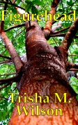 Cover-Bild zum Titel 'Figurehead' von 'Trisha M. Wilson'