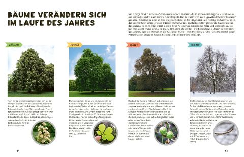 InsideView 2