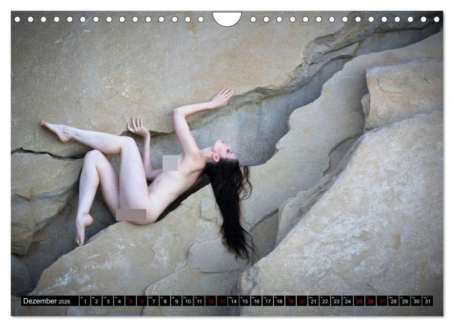 InsideView 4