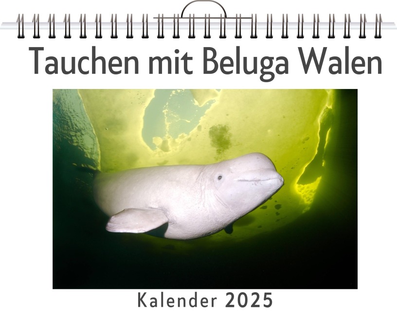 Tauchen mit Beluga Walen - Anton Krause