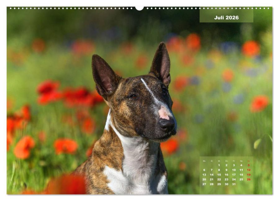 InsideView 12