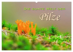 Cover-Bild zum Titel 'Die bunte Welt der Pilze (Wandkalender 2026 DIN A2 quer), CALVENDO Monatskalender' von 'LianeM LianeM'