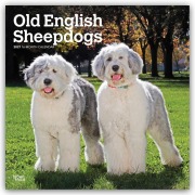 Cover-Bild zum Titel 'Old English Sheepdog - Bobtail - Altenglischer Schäferhund 2027 - 16-Monatskalender' von 'Browntrout Publishers'