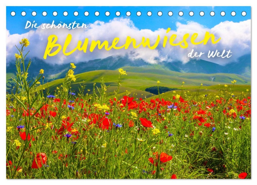 Die schönsten Blumenwiesen der Welt (Tischkalender 2026 DIN A5 quer), CALVENDO Monatskalender - Sf Sf