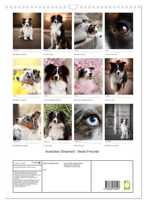 InsideView 5