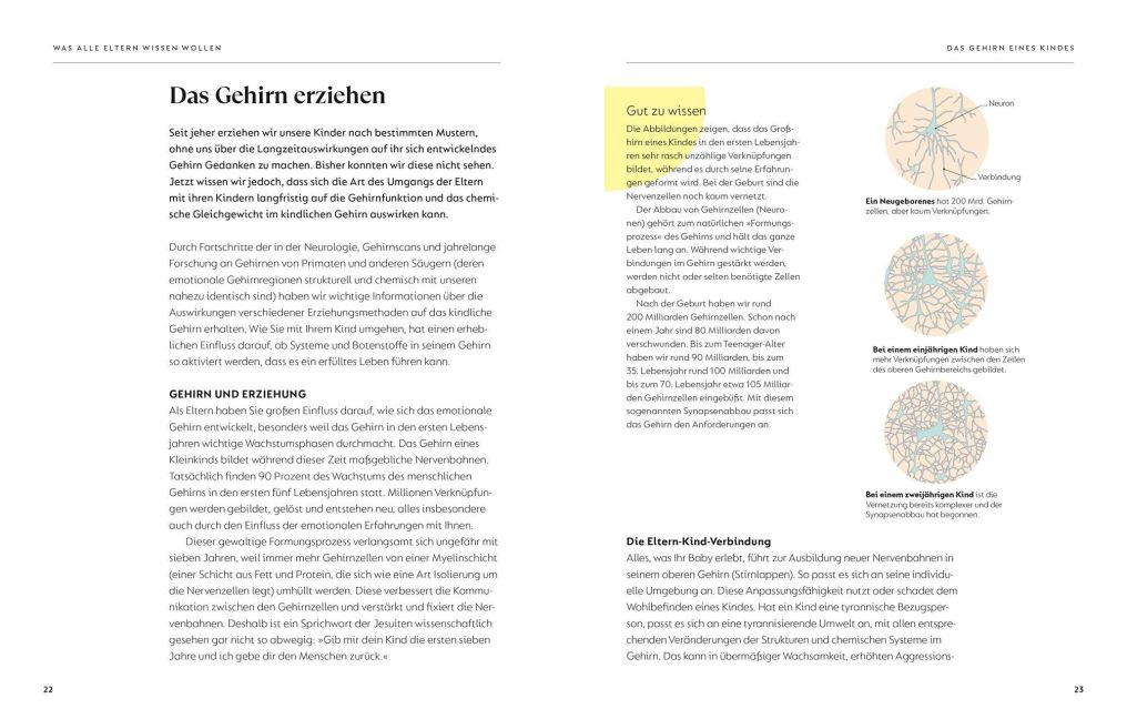 InsideView 5