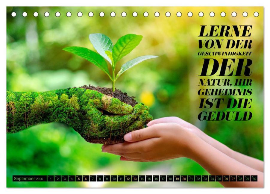 InsideView 14