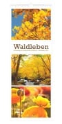 Cover-Bild zum Titel 'Waldleben - Triplets 2027' von ''
