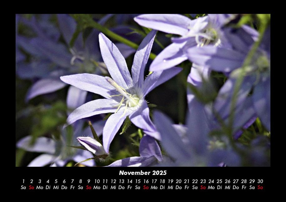 InsideView 3