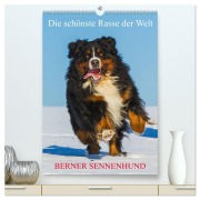 Die schönste Rasse der Welt - Berner Sennenhund (hochwertiger Premium Wandkalender 2026 DIN A2 hoch), Kunstdruck in Hochglanz - Sigrid Starick