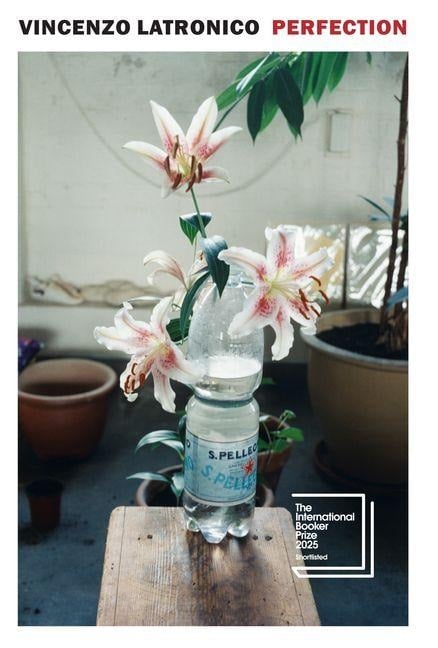 Perfection - Vincenzo Latronico
