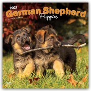 Cover-Bild zum Titel 'German Shepherd Puppies - Deutsche Schäferhund Welpen 2027 - 16-Monatskalender' von 'Browntrout Publishers'