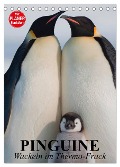 Pinguine. Wackeln im Thermo-Frack (Tischkalender 2025 DIN A5 hoch), CALVENDO Monatskalender - Elisabeth Stanzer