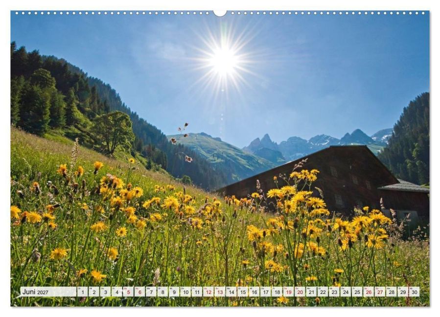 InsideView 11