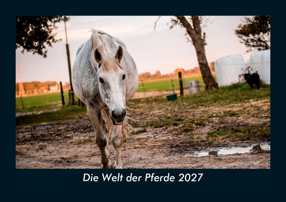Die Welt der Pferde 2027 Fotokalender DIN A5 - Tobias Schmitt, Kevin Heber