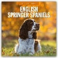 English Springer Spaniels - Englisch Springer Spaniels 2025 - 16-Monatskalender - 