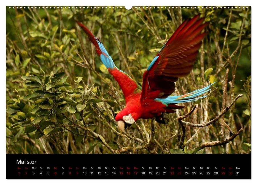 InsideView 10