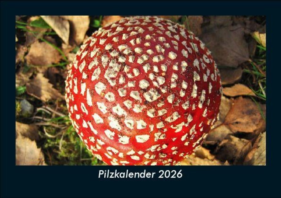 Pilzkalender 2026 Fotokalender DIN A5 - Tobias Becker